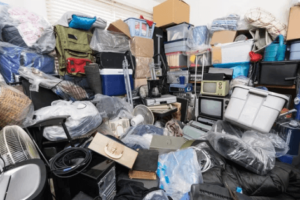 pulizie barbonismo domestico milano